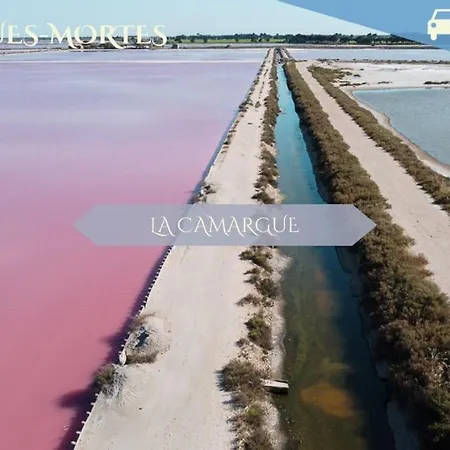 Apartamento 048- Le Bobo Montpelliérain - - Centre